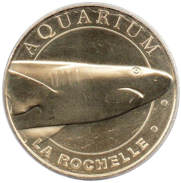 Aquarium La Rochelle, Hai