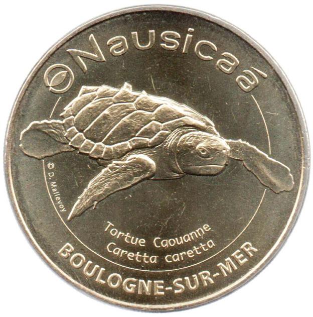 Nausicaa, Unechte Karettschildkröte, Boulogne-sur-Mer