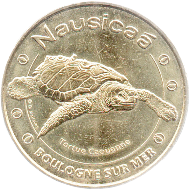 Nausicaa, Unechte Karettschildkröte, Boulogne-sur-Mer