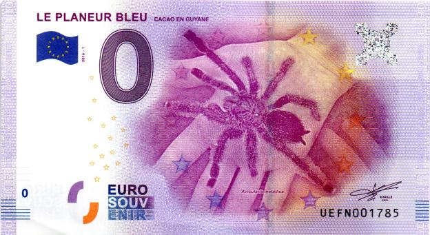 0 Euro Souvenir Note 2016 France UEFN - Le Planeur Bleu