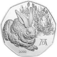 The Hare by Albrecht Dürer